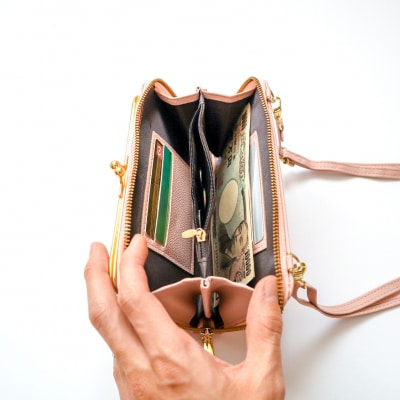 Amazon.co.jp: [ウェーブセプター] MoneyHills コインスルー 長