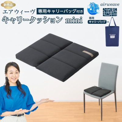 エアウィーヴ キャリークッションmini