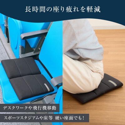 エアウィーヴ キャリークッションmini