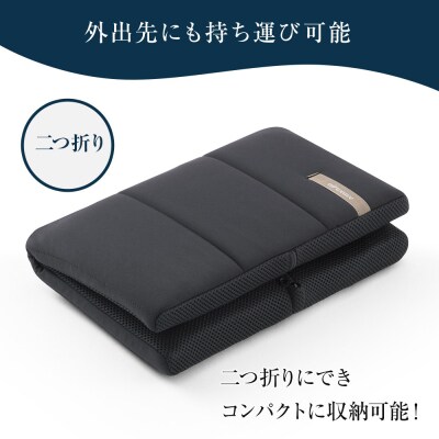 エアウィーヴ キャリークッションmini