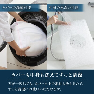 エアウィーヴ キャリークッションmini