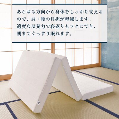 スマートZ01　特別仕様 シングル