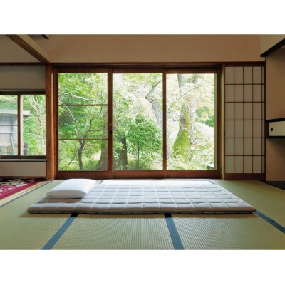  【大府市産お米2kg付】エアウィーヴ 四季布団  ダブル 敷布団 寝具 エアウィーブ