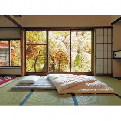  【大府市産お米2kg付】エアウィーヴ 四季布団 シングルロング 敷布団 寝具 エアウィーブ