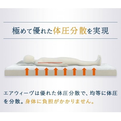 【お米1kg付】エアウィーヴ ポータブル mini