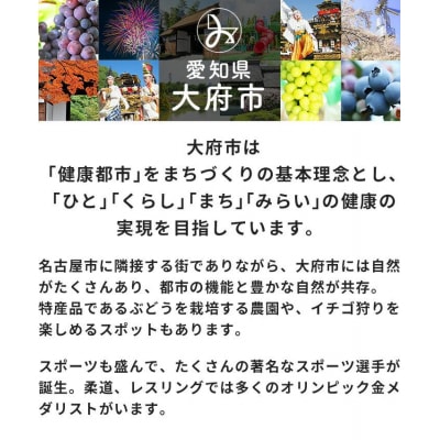 【お米1kg付】エアウィーヴ 座布団 ネイビー