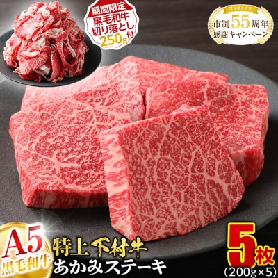 【期間限定】大府特産A5黒毛和牛下村牛特上あかみステーキ5枚1kg入+切り落とし250g付