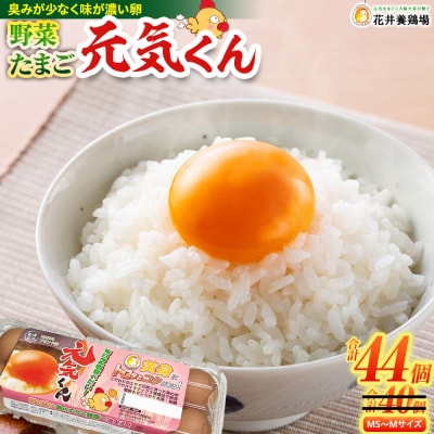 愛され続けて30年 「野菜たまご 元気くん」(40個+4個増量) 日々のお料理がワンランクアップ!!