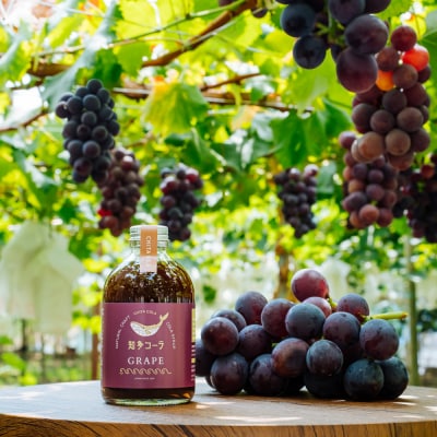 【テレビで紹介】愛知 知多コーラ-ぶどう-　ぶどうのクラフトコーラ 240ml 1本