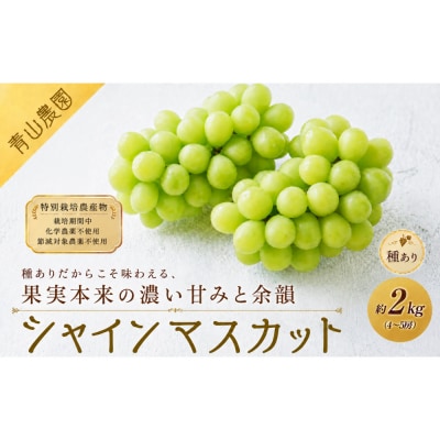 【先行予約】種ありシャインマスカット 約2kg(4～5房)〔2026年8月上旬より順次発送〕