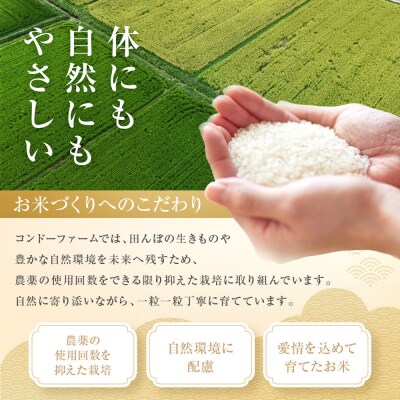 ミルキークイーン　2kg