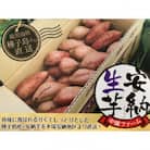 中園ファームの熟成安納芋(生芋)Mサイズ　10kg