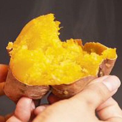 中園ファームの熟成安納芋(生芋)Mサイズ　10kg