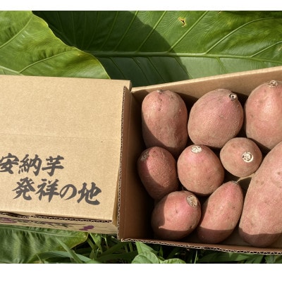 中園ファームの熟成安納芋(生芋)ミックスサイズ　4kg