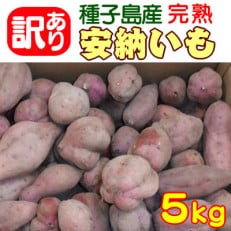 中園ファームの熟成安納芋(生芋)訳あり品5kg