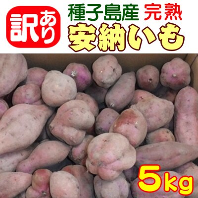 中園ファームの熟成安納芋(生芋)訳あり品5kg