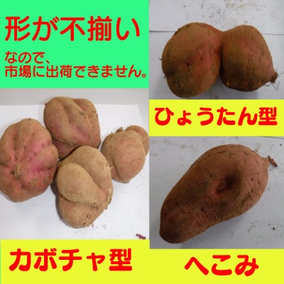 中園ファームの熟成安納芋(生芋)訳あり品5kg
