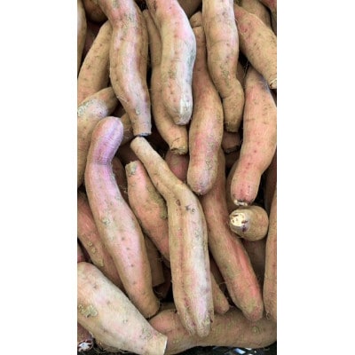 中園ファームの熟成安納芋(生芋)訳あり品5kg