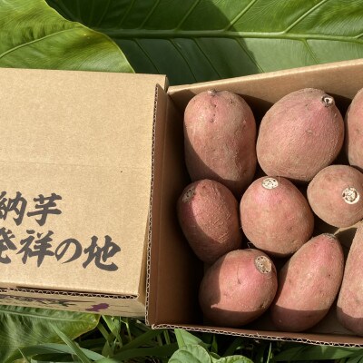 【数量限定!】中園ファームの熟成安納いも(生芋)S～2Lサイズミックス　4kg　