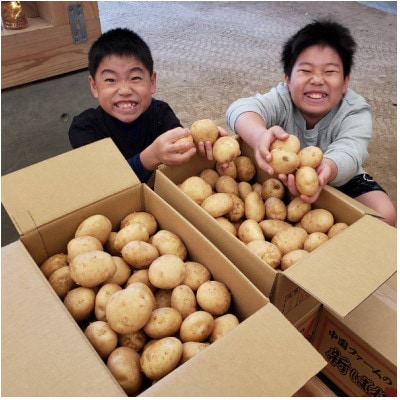 【数量限定】中園ファームのじゃがいも　Lサイズ　10kg
