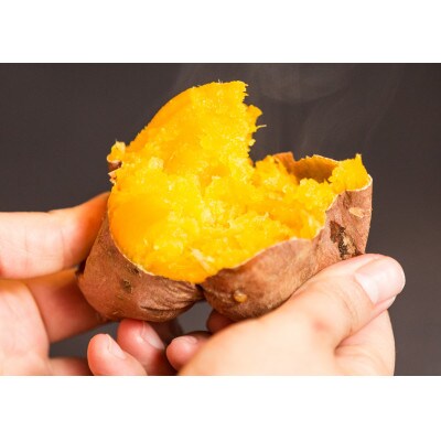 【数量限定】種子島安納地区産　安納いも(生芋)5kg