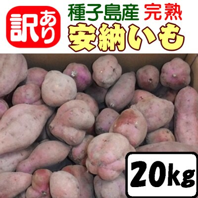 安納芋 MLサイズ 20kg 種子島産 さつまいも 焼き芋に 紅 #088