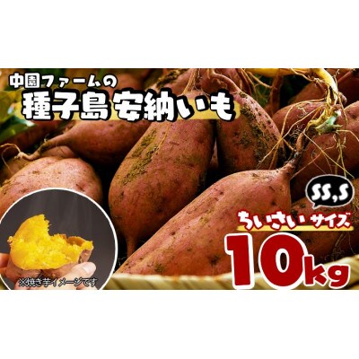 中園ファームの種子島安納いも(生いも)SS,Sサイズ　10kg