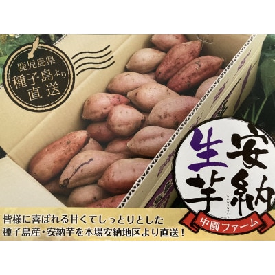 中園ファームの熟成安納芋(生芋)Lサイズ　10kg