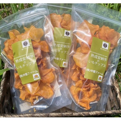 中園ファームの熟成安納芋の黄金塩チップス