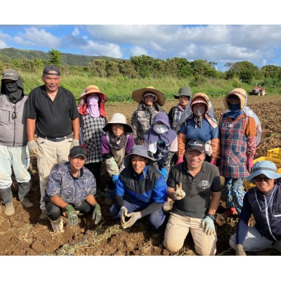 中園ファームの熟成安納芋の黄金塩チップス
