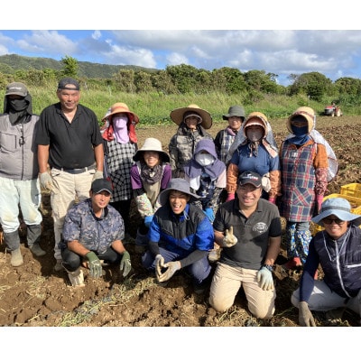 中園ファームの熟成安納芋の黄金塩けんぴ