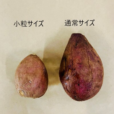 【種子島産安納芋使用】熟成焼芋　安納芋【小粒】(冷凍) 500g×5袋