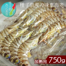 種子島産 加熱用冷凍車海老750g