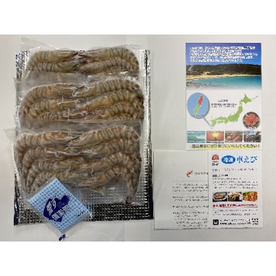 種子島産　加熱用冷凍車海老750g