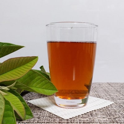 種子島ばんじろう茶(グァバ茶)　3個セット
