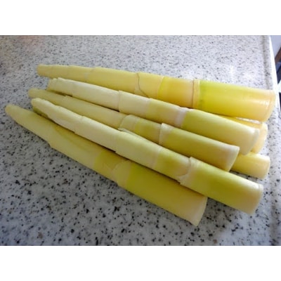種子島特産　ニガ竹 2キロ(皮むき処理済)