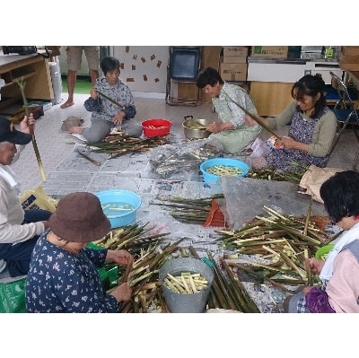 種子島特産　ニガ竹 2キロ(皮むき処理済)