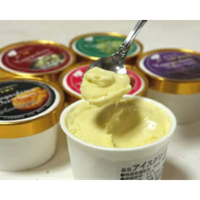 種子島こだわりアイス12個セット