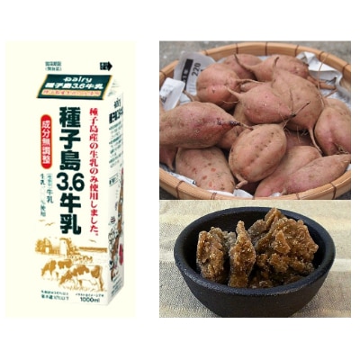 種子島こだわりアイス12個セット