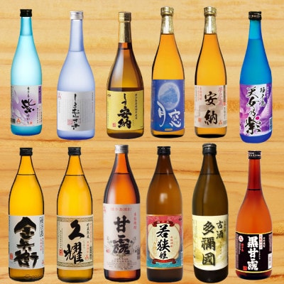 種子島焼酎12酒飲み比べセット