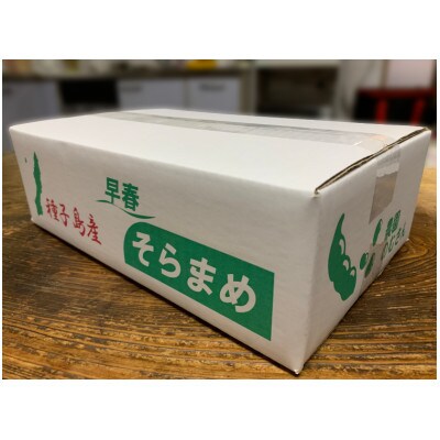 種子島産の早春そらまめ　2kg