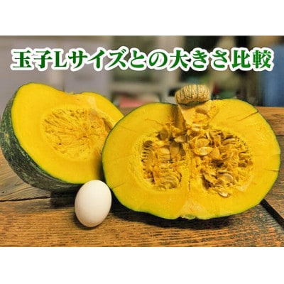 種子島産の完熟大玉かぼちゃ　3kg以上×2個