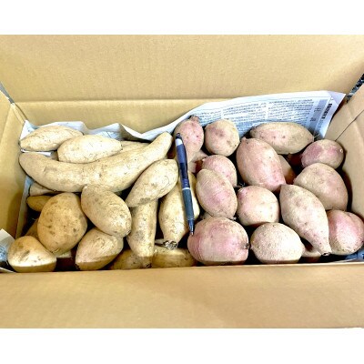 【ふるさと納税】 種子島安納いも食べ比べ2点セット:安納紅と安納こがねの計9キロ