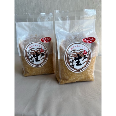 あんどうの壱番生みそ(無添加米みそ)2kgセット 100%国産原料使用!