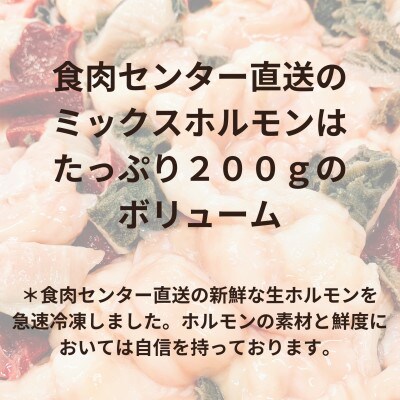 【簡易版】田川ホルモン鍋(ミックスホルモン200g+2種タレ)×3セット