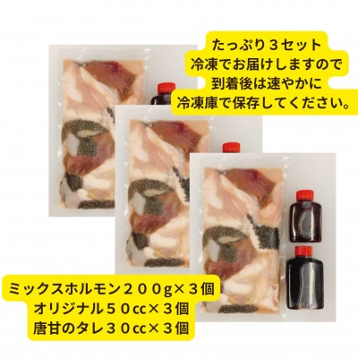 【簡易版】田川ホルモン鍋(ミックスホルモン200g+2種タレ)×3セット