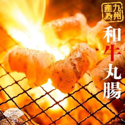 【牛若丸】国産 丸腸(タレ付)セット 500g