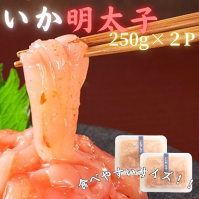 【博多の珍味】いか明太子(250g×2p)(川崎町)