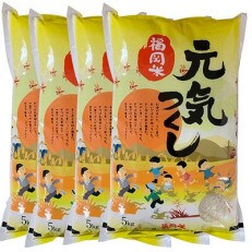【令和4年産】福岡県産ブランド米「元気つくし」白米20kg(川崎町)