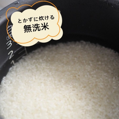 夢つくし　無洗米【真空パック】7.5kg(750g×10袋)(川崎町)